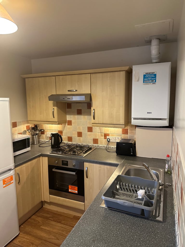 Excellent Location, Big Room Professional flatmates 