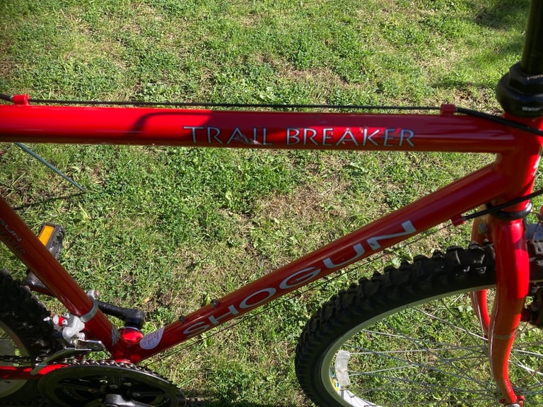 Mans mountain bike in exceptional condition 