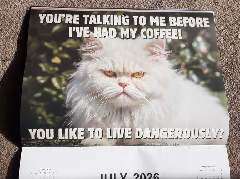 Humorous cat calendar for 2026 - nice large by Month size