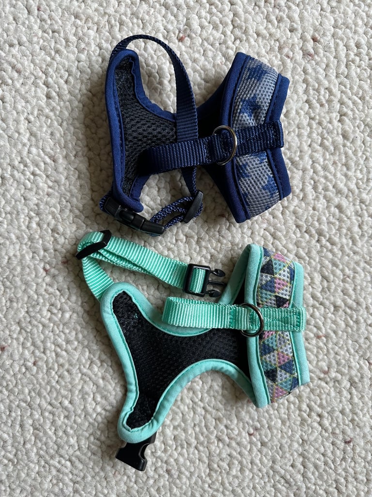 Toy Dog Harness