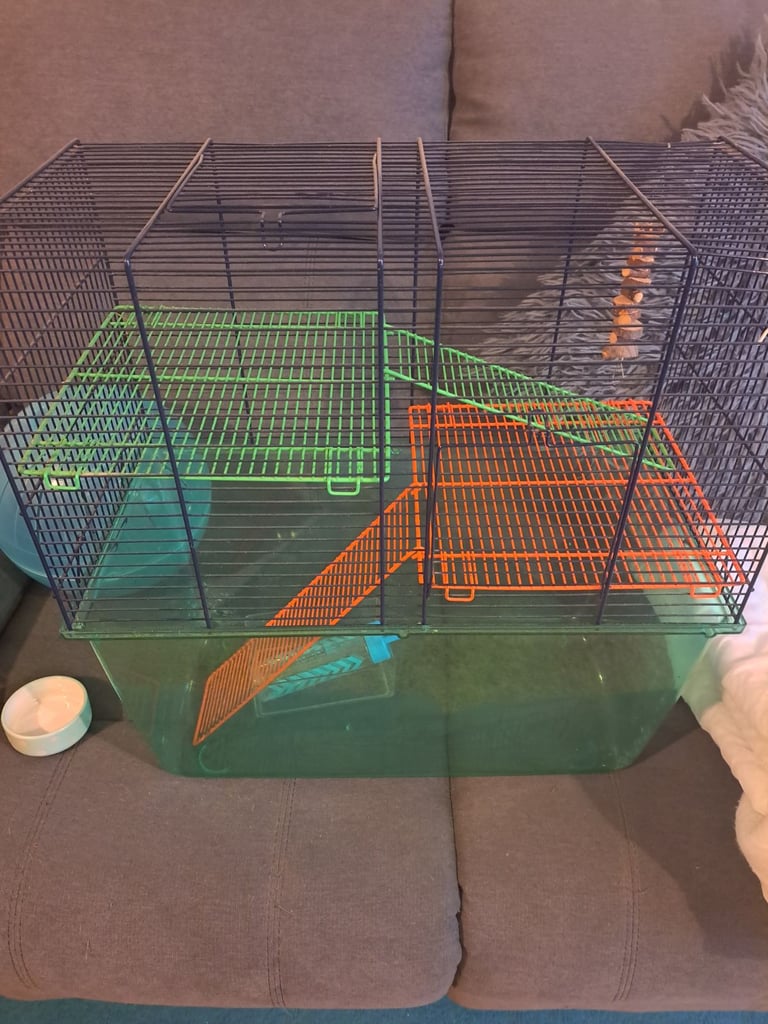 Hamster cage