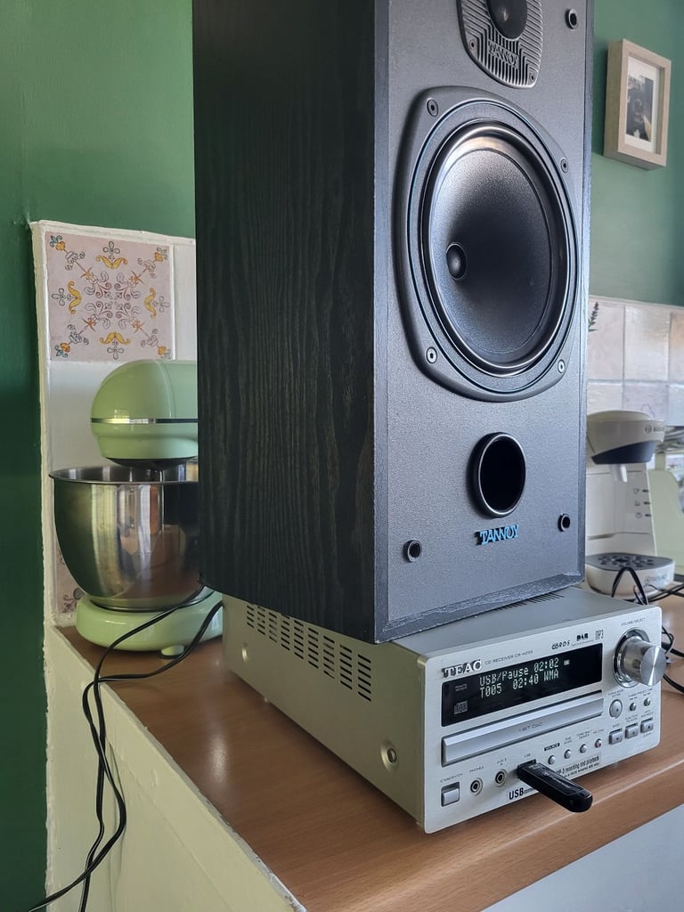 Large tannoy loudspeakers 