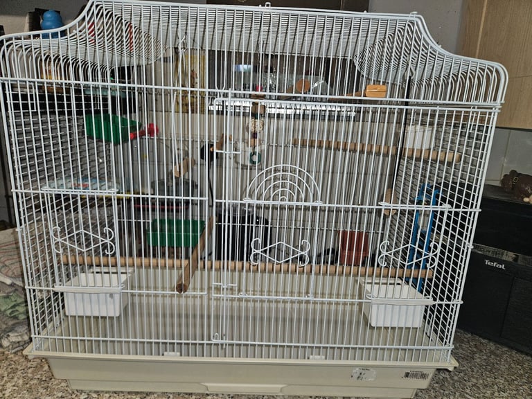 Bird cage for sale 