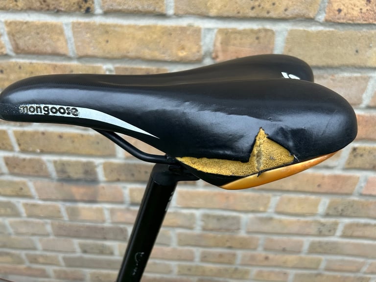 Mongoos switch back mens bikes 