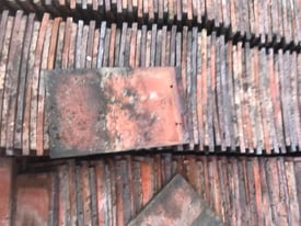 Rosemary tiles & ridges