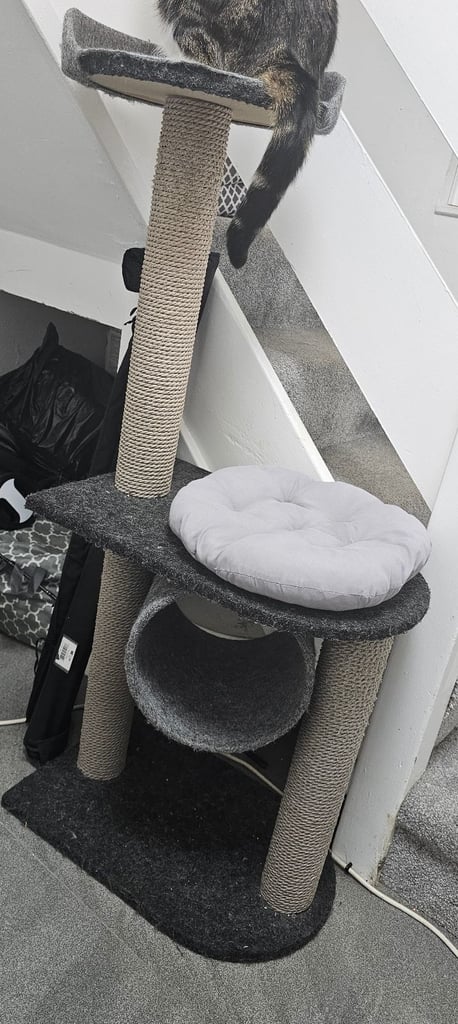 Cat Scratch Post