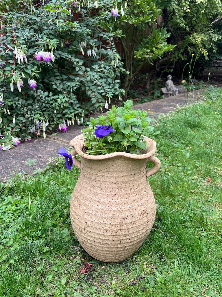 Charming Yellow Terracotta Pot with Fresh Mint Plant | 18cm Diameter, 35cm Height