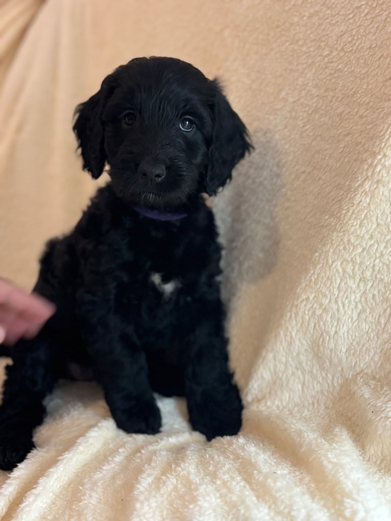 Ready now complete health check 