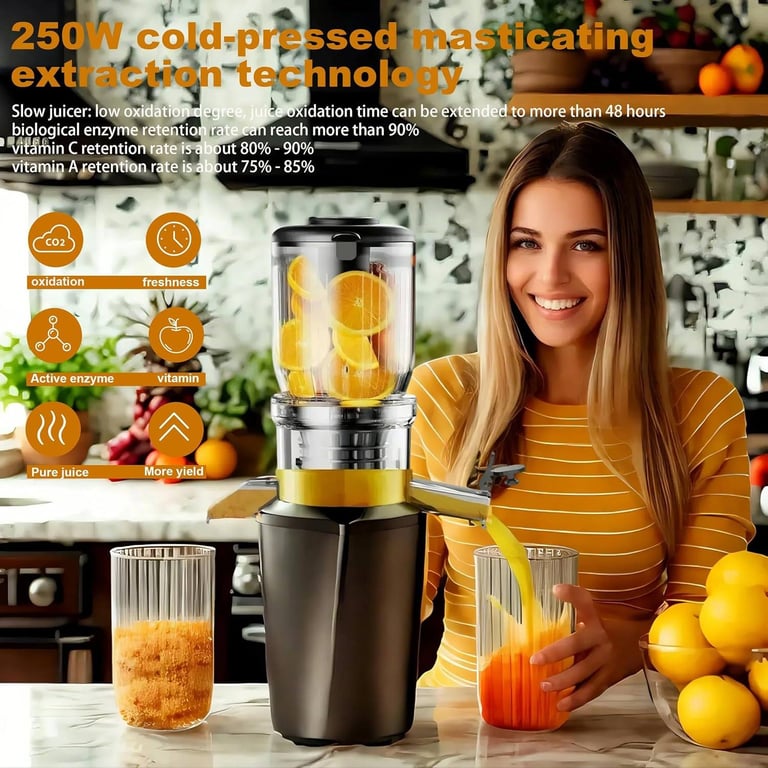 image for Fyenkfar cold press slow juicer