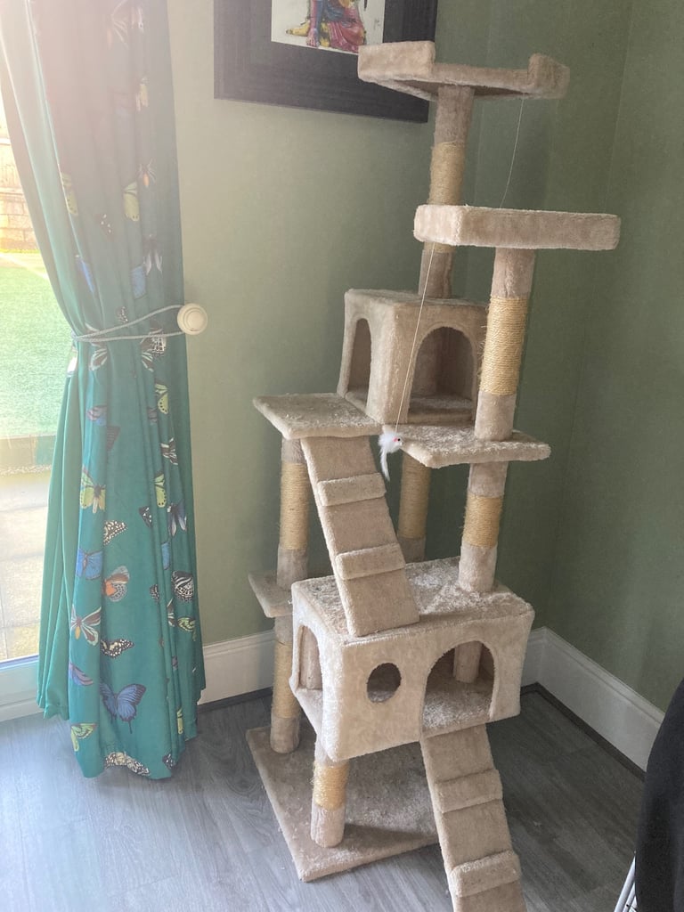 cat tree unused