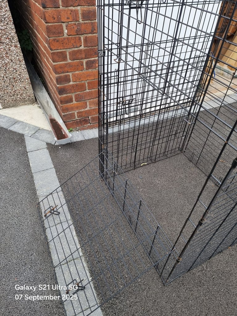 Dog Cage