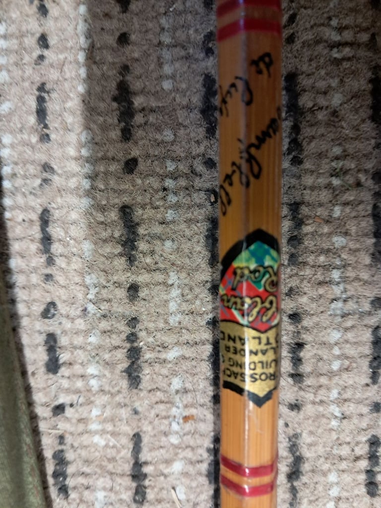 A collection of fishing rods