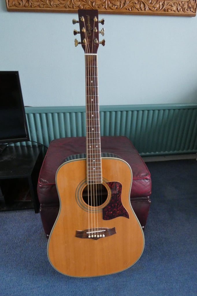 image for Tanglewood Acoustic Guitar (TW28 STR)