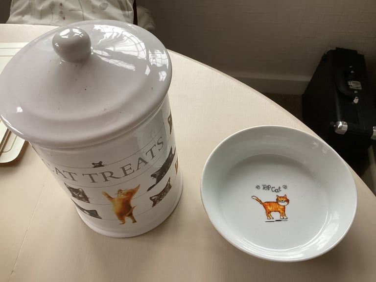 Cat feeder and bowl