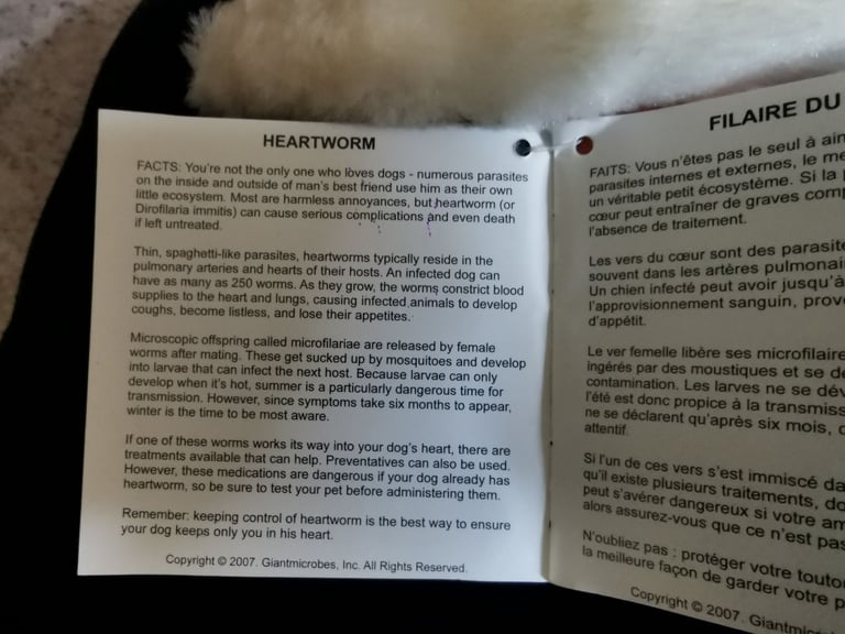 ​🦠 GIANT Microbes Plush Toy Collection - Science, Gags & Collectibles! (Bundle Price!)