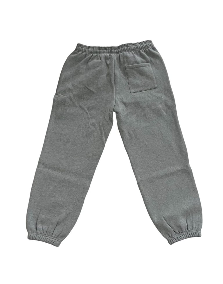 Brand New - Paradigm Grey Joggers
