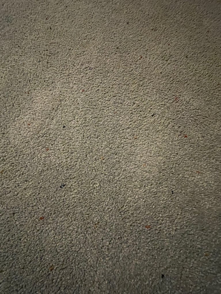 image for Large grey-blue rug with coloured specs 