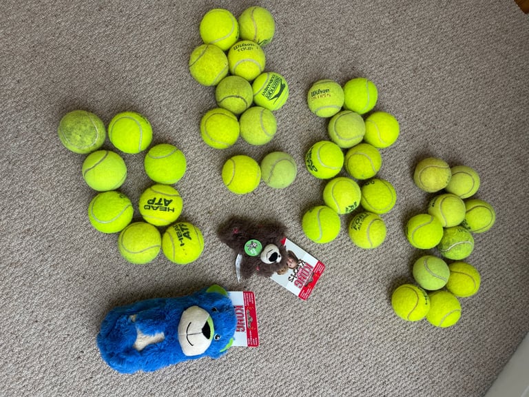 Dog toys and 38 tennis balls