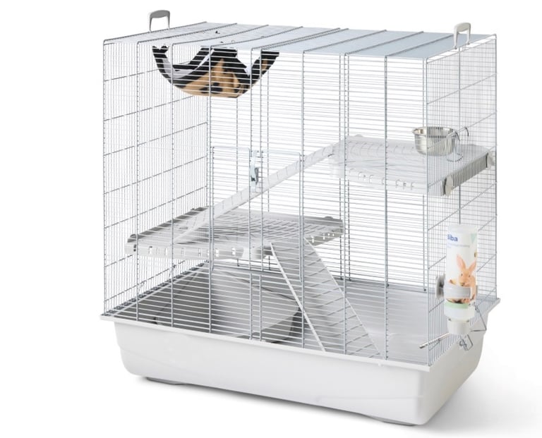 image for Rat/hamster/chinchilla