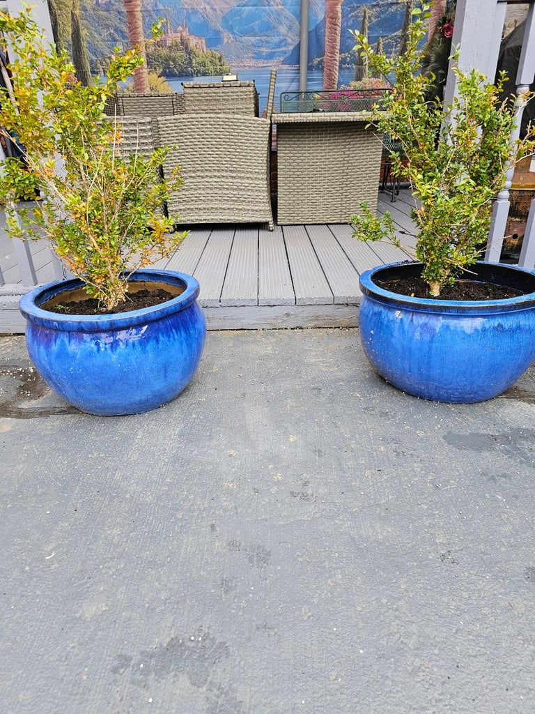 Extra Large Vibrant Blue Glazed Ceramic Pots