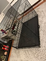 XL Dogs cage 
