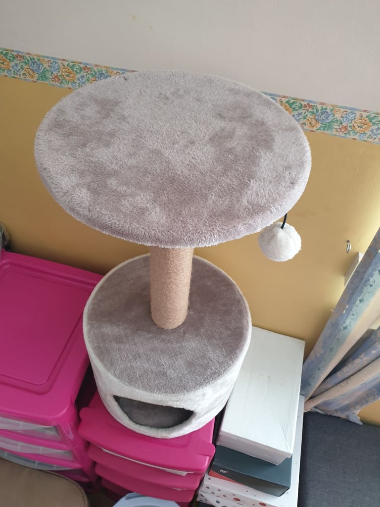 Cat scratching post and small tunnel