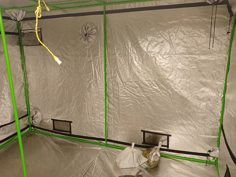 Hydroponics grow tent 