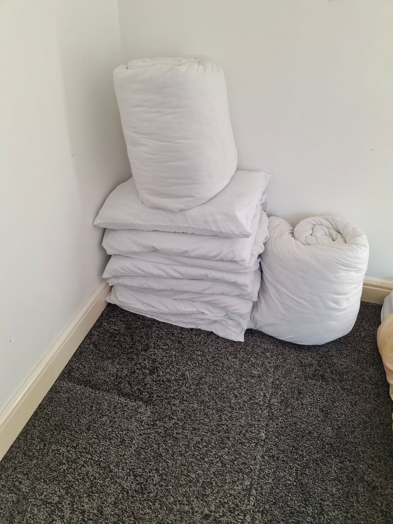 2 double sized duvet + cushions 