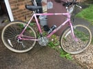 Raleigh mustang bike 