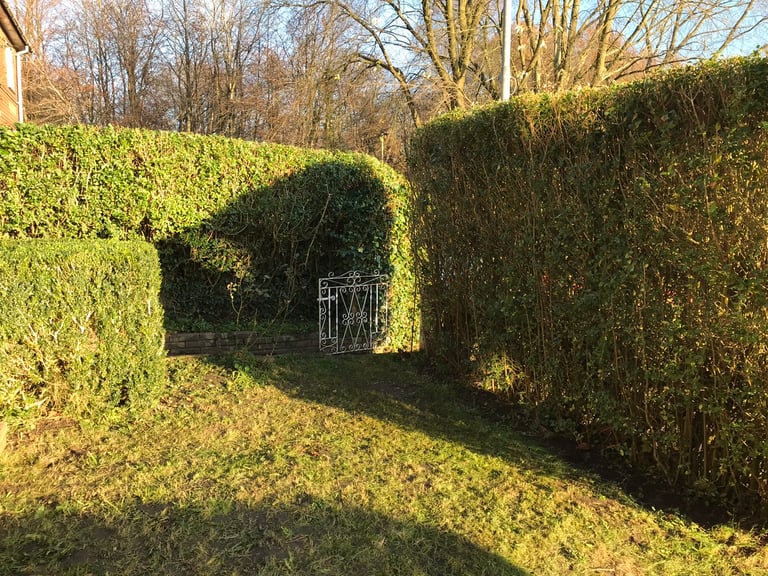 image for Garden 