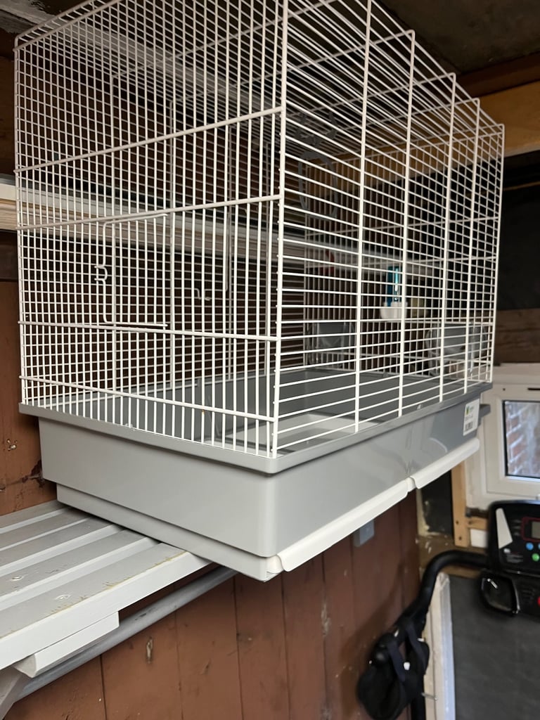 image for Bird cage 