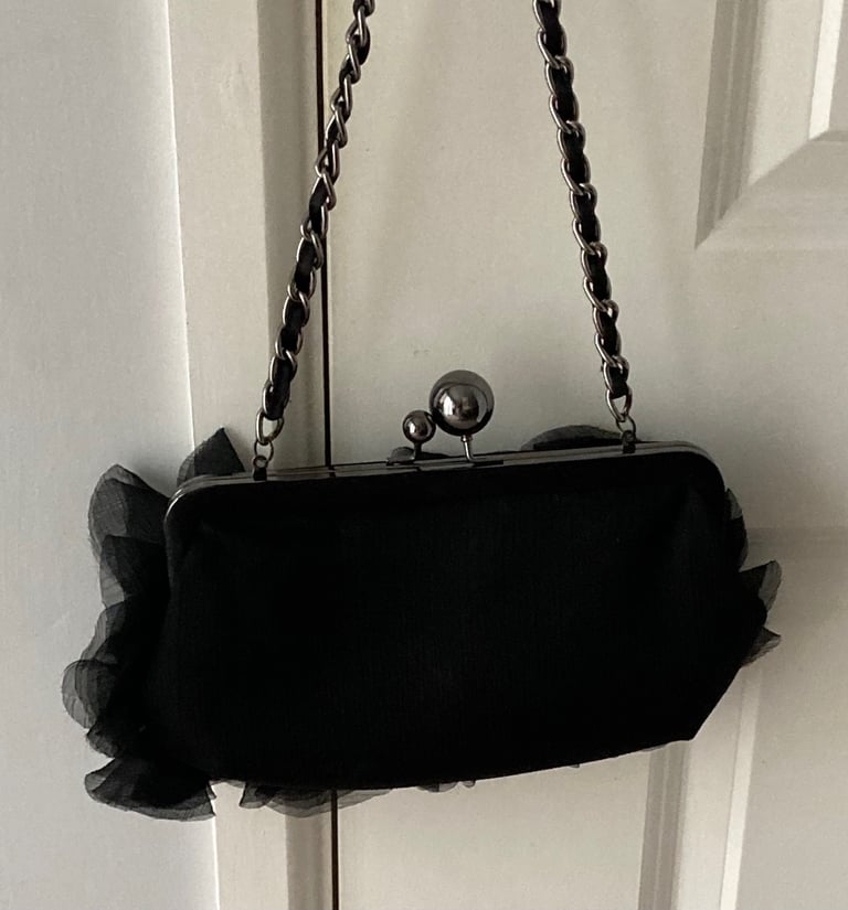 image for Beautiful Evening Bag