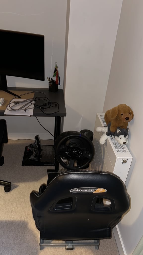 image for Thrustmaster t300 rs gt 