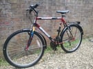 Men&#039;s Mountain bike with full mudguard back carrier &quot;AMMACO BIKE&quot;
