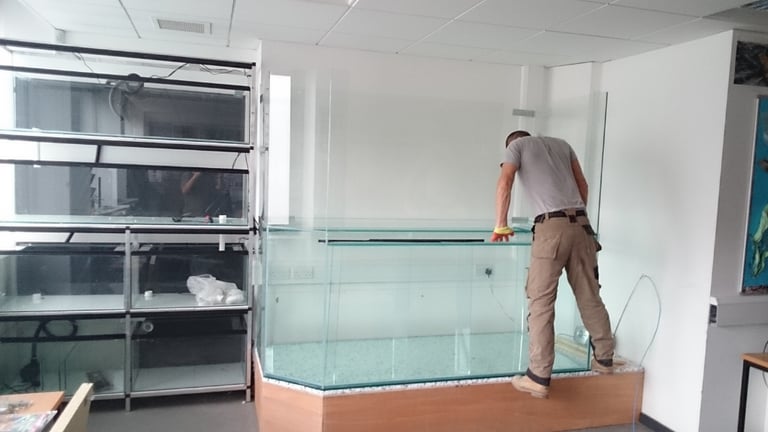 All Glass Fish Tanks Made To Measure, Lowest Prices Possible