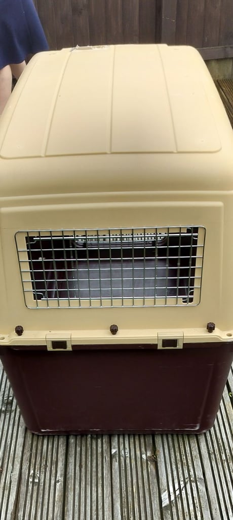 Airline approved dog  crate 
