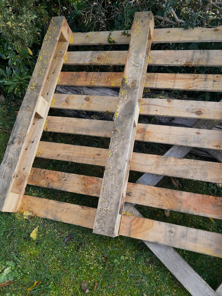 FREE - 3 wooden pallets