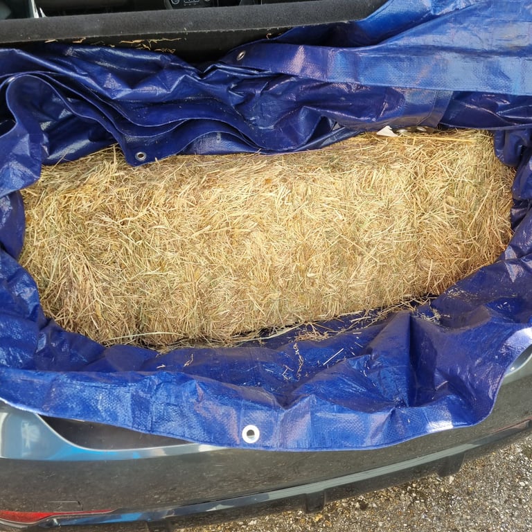 image for Hay Bale - for Horses / Chickens / Livestock/ Pets
