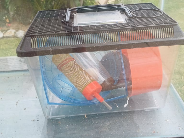 Terrarium and hamster bits