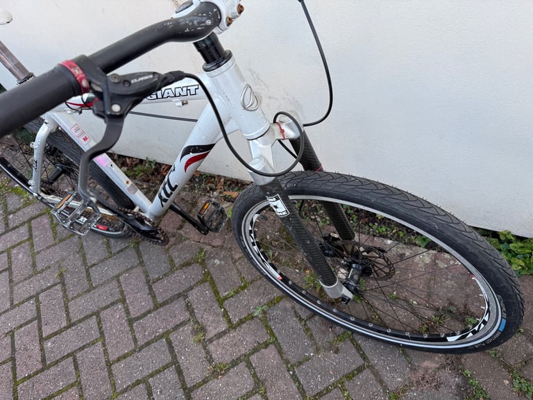 Giant XTC modified mountain bike