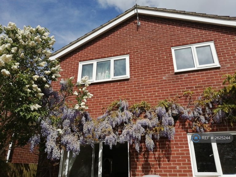 4 bedroom house in Chaney Road, Colchester, CO7 (4 bed) (#2625244)