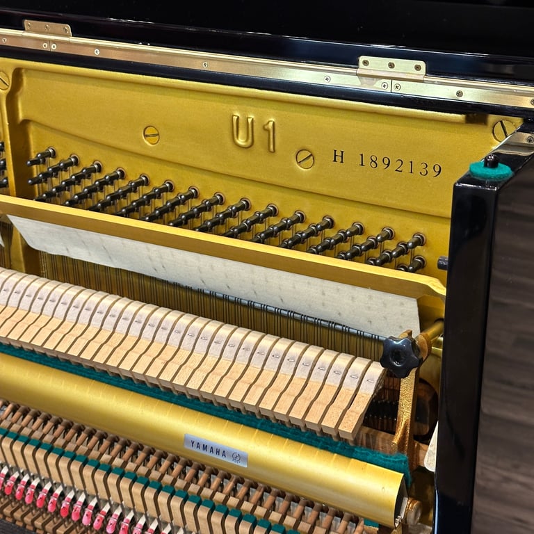 REDUCTION: Yamaha U1 Upright Piano Black | Delivery, Warranty, Stool, Tuning