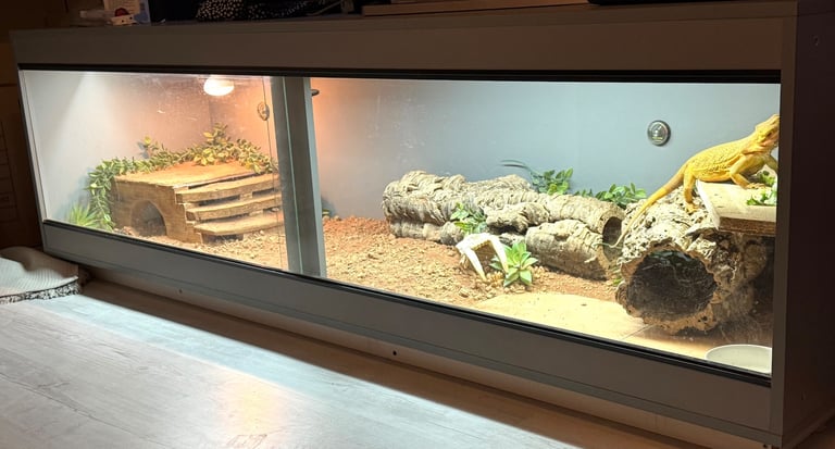 Vivarium for sale