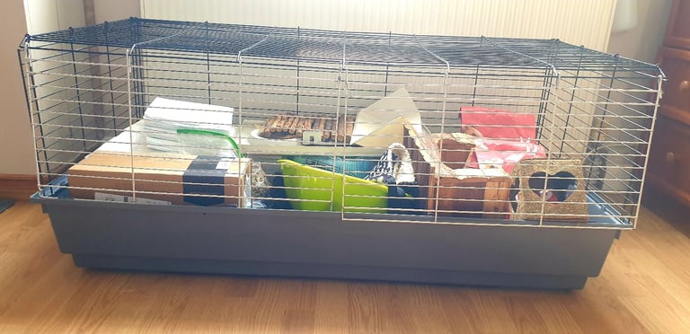 Full Set Up for Guinea Pig 