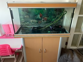 Fish Tank - Complete Setup
