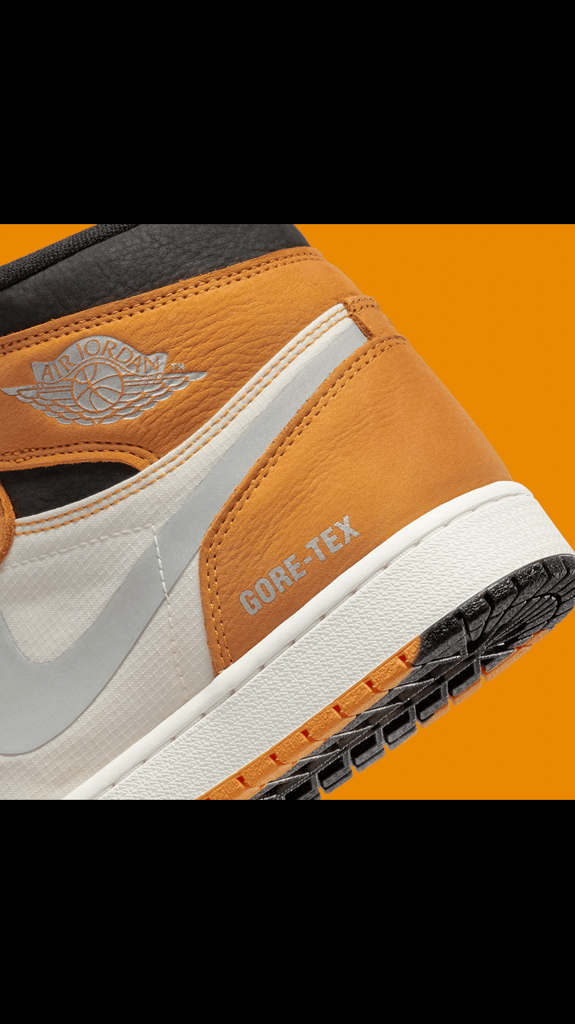 The Air Jordan 1 Element GORE-TEX
