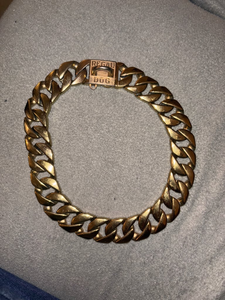 Dog collar Gold Chain 