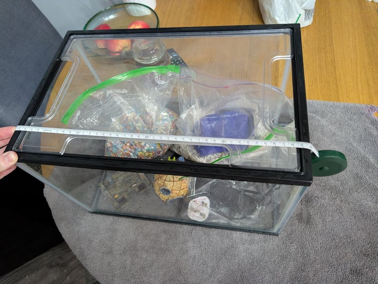 Fish tank with pump and ornaments 