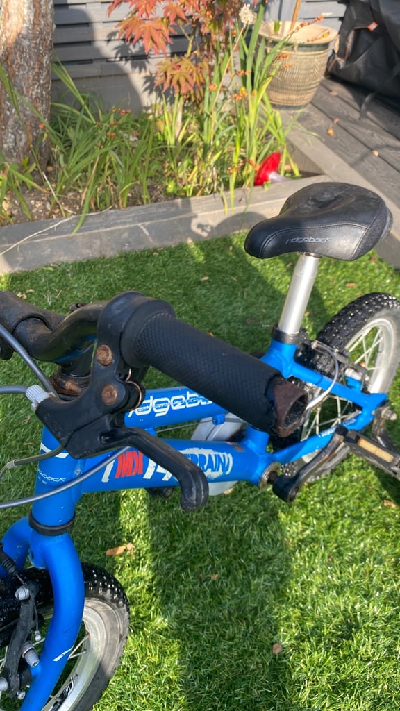 Ridgeback MX 14 Terrain kids bike