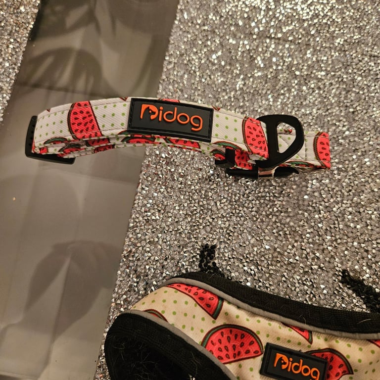 Dog lead harness & collar 